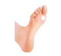 Sorbo Corn Pad for Sole of the Foot